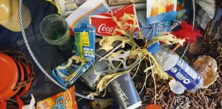 Schools join the war on waste Schools join the war on waste