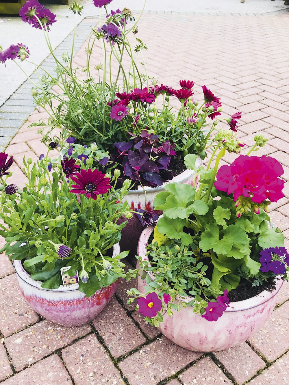 Gardening-3