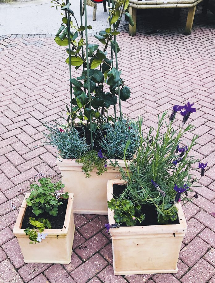 Gardening-Scented Terracotta Cubes Gardening-Scented Terracotta Cubes