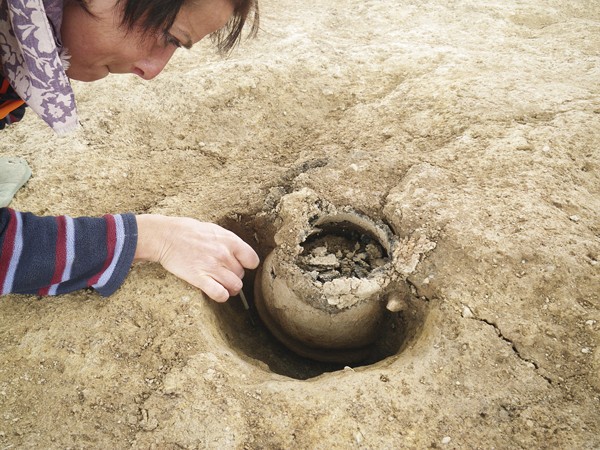 Sherford-Stone-Age-2