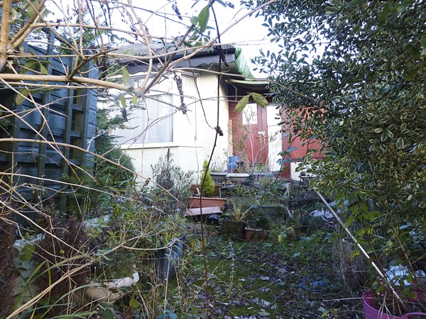 widey-before