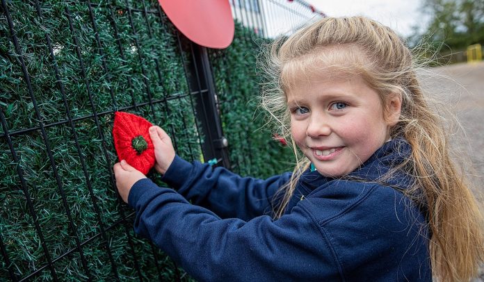 PLYMOUTH FAMILY'S OPERATION POPPY STREET