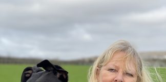 Charity’s plea to get greyhound rehoming back on track