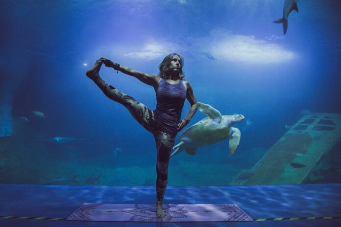 Yoga in the Aquarium Yoga in the Aquarium