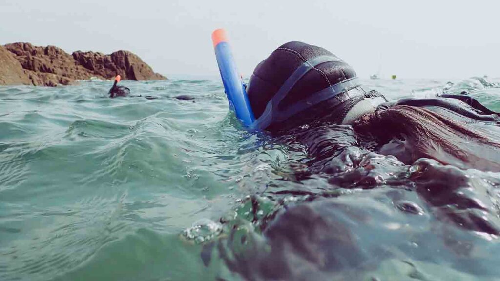 NMA-snorkel-safari-plymouth