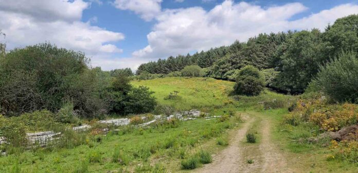 Woodland and open spaces will be a feature of the Coypool Park development Woodland and open spaces will be a feature of the Coypool Park development