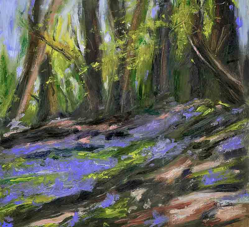 Bluebells by Naula Taylor
