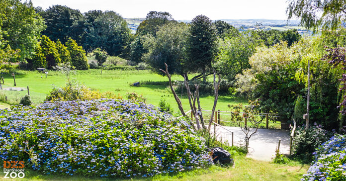 Breathing Space at Dartmoor Zoo Breathing Space at Dartmoor Zoo