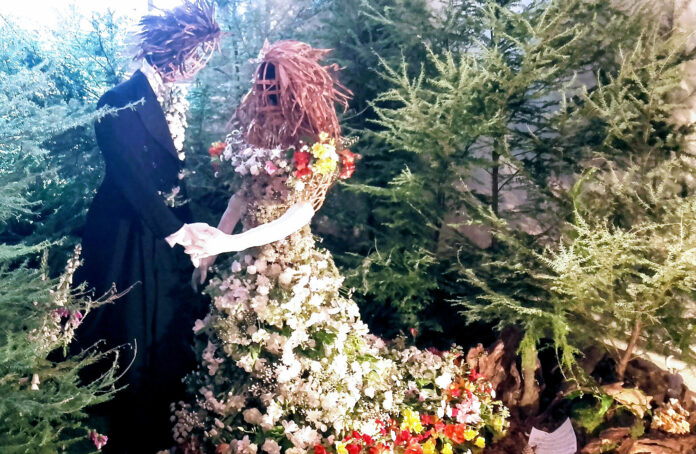 Flower Show Flower Show