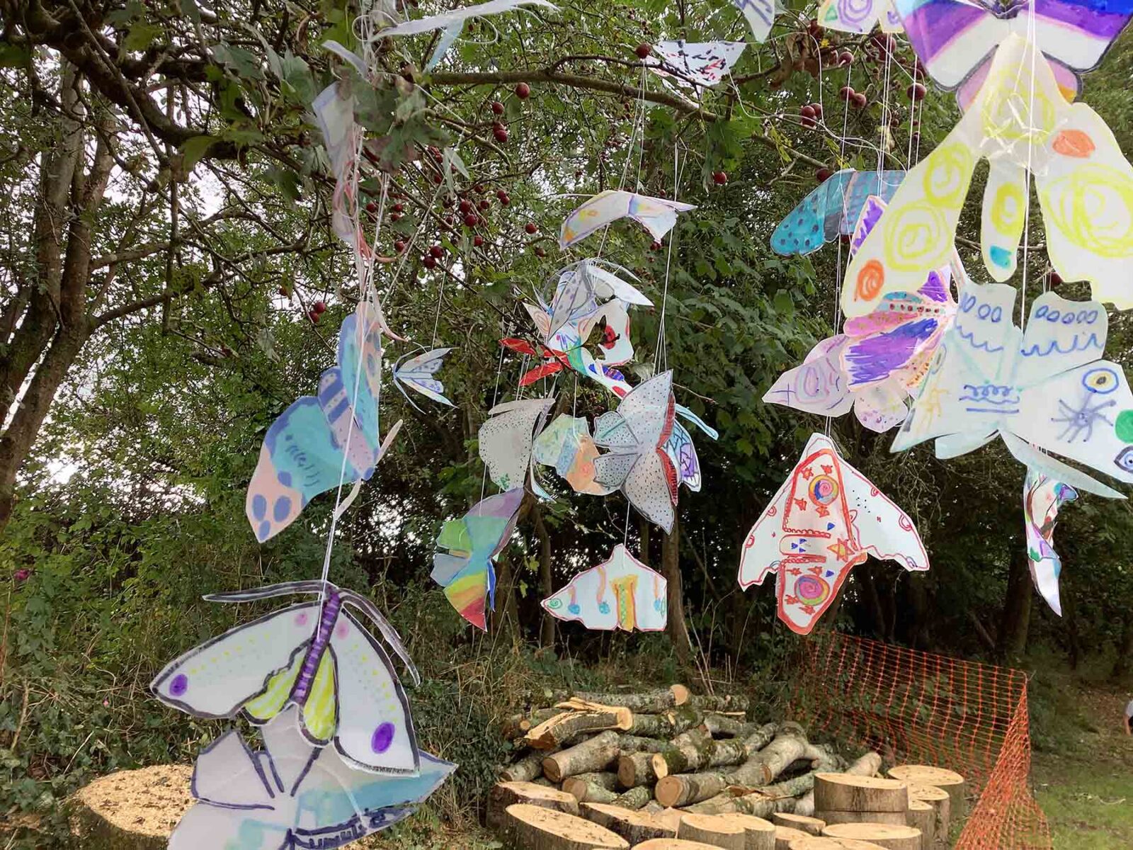 Eggbuckland Vale Primary School moths