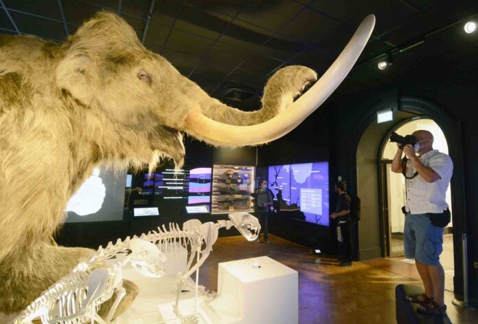 Mildred the wooly mammoth has been a big hit. Photo: Wayne Perry. Mildred the wooly mammoth has been a big hit. Photo: Wayne Perry.