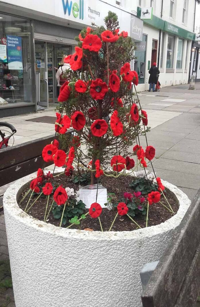 Poppies Poppies