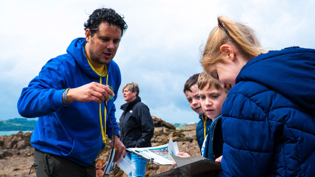 The Rock Pool Project