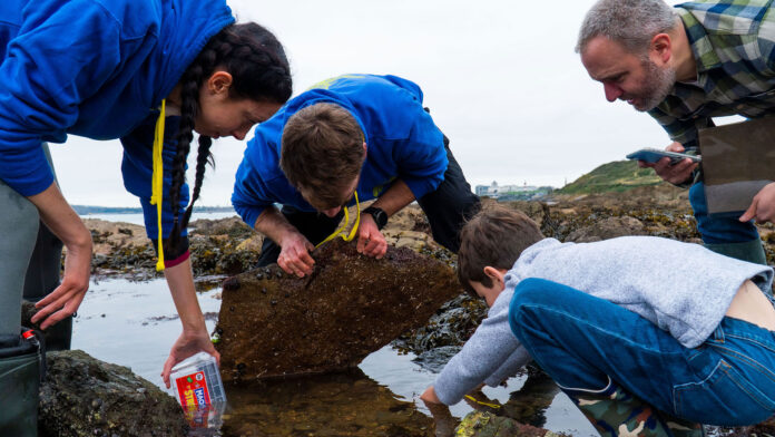 The Rock Pool Project - Brettl photography The Rock Pool Project