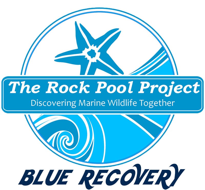 The Rock Pool Project Logo