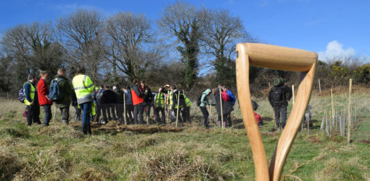 Young people were keen to help plant the trees