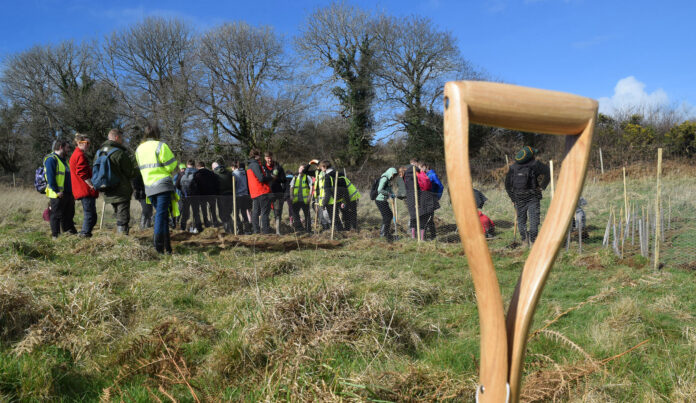 Young people were keen to help plant the trees Young people were keen to help plant the trees