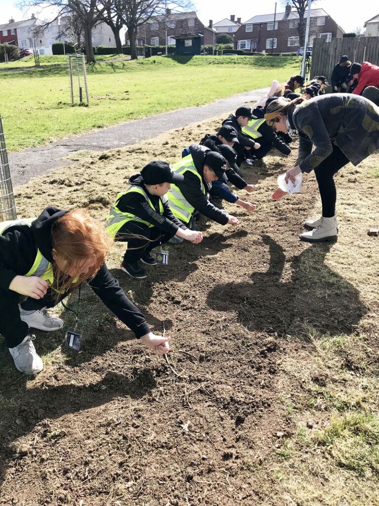 Busy planting seeds for the wildflower meadow