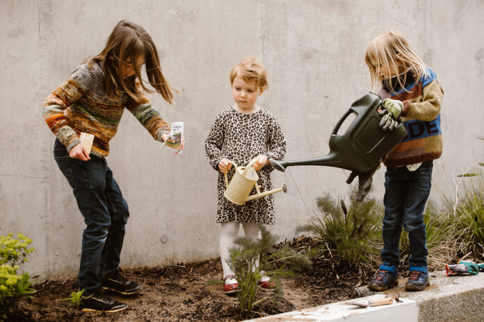 Planting wild seeds in Plymouth Planting wild seeds in Plymouth