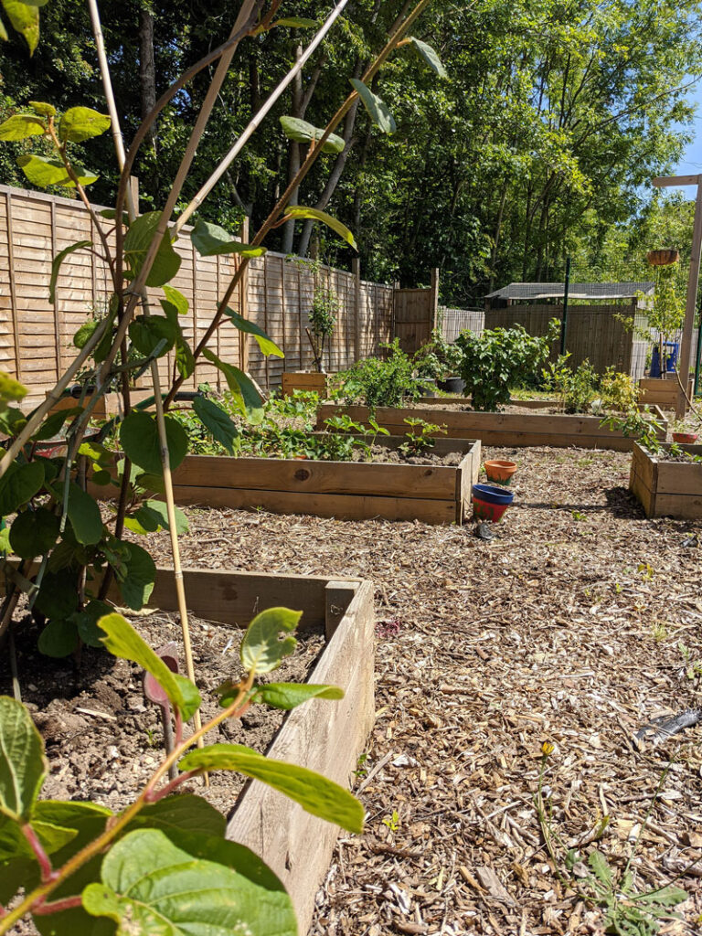YMCA-Garden-Planters