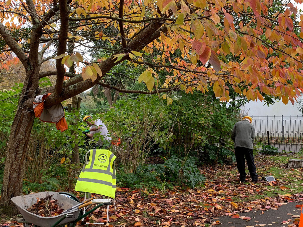volunteers trimming hedges in the autumn