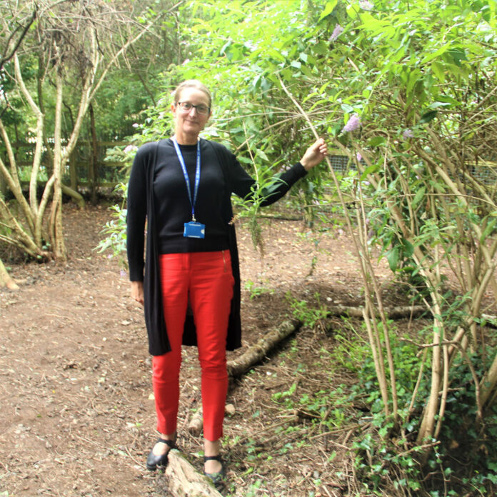 Eggbuckland Susie Carroll at the Forest School Eggbuckland Susie Carroll at the Forest School