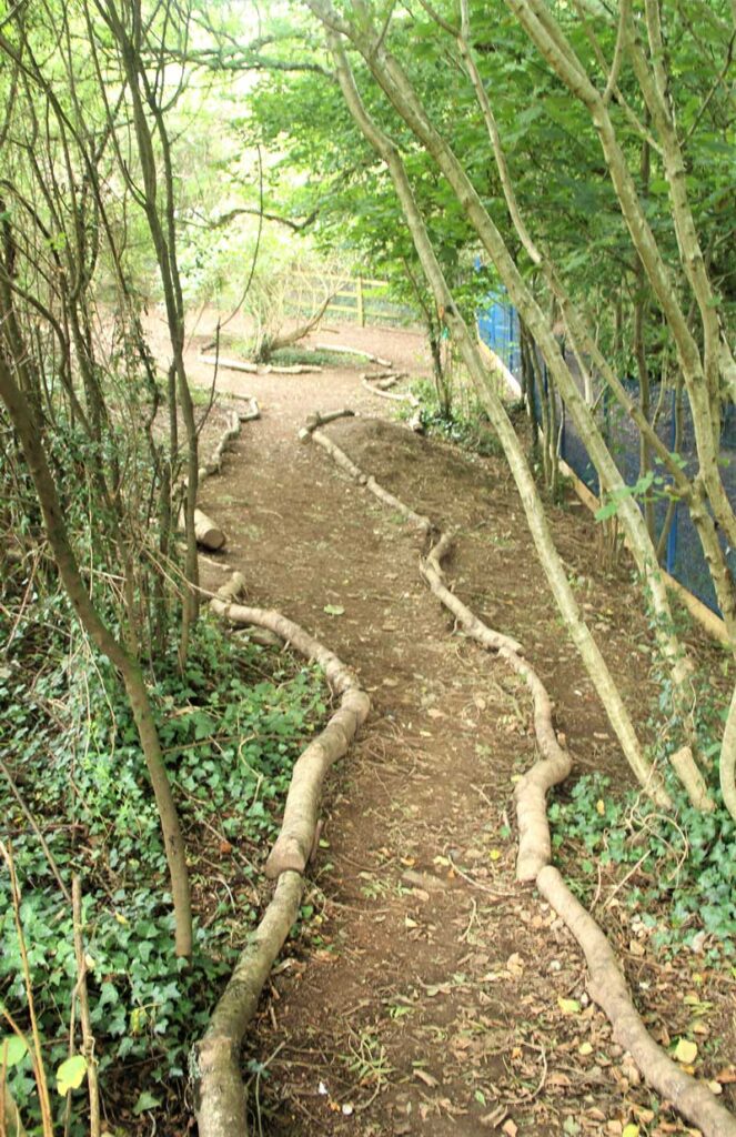 Eggbuckland woodland area