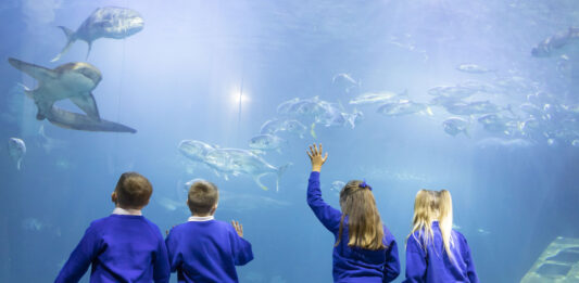 Ocean conservation