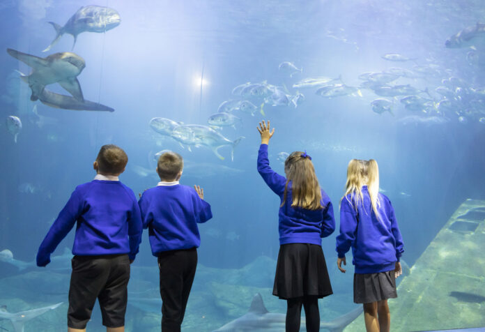Ocean conservation Ocean conservation