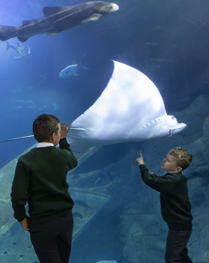 Youngsters from one of the Connect Academy Trust schools in Plymouth learn about marine conservation at the National Marine Aquarium