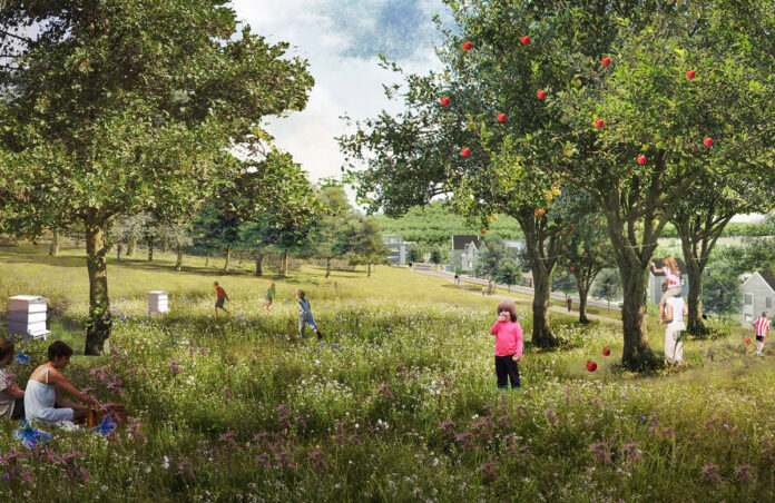 Coypool-Park_Orchard_Visualisation_credit_LDADesign