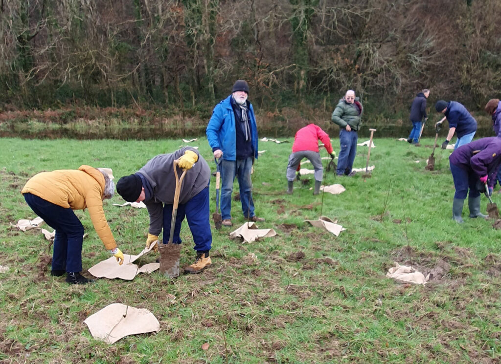 Plymouth u3a Tree Planting on National Trust land in Plymbridge Woods