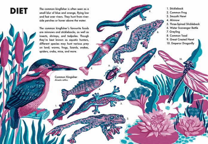 Design and illustration students Lucy Hartman