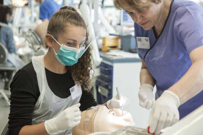 University dental school young woman dentist skills summer school
