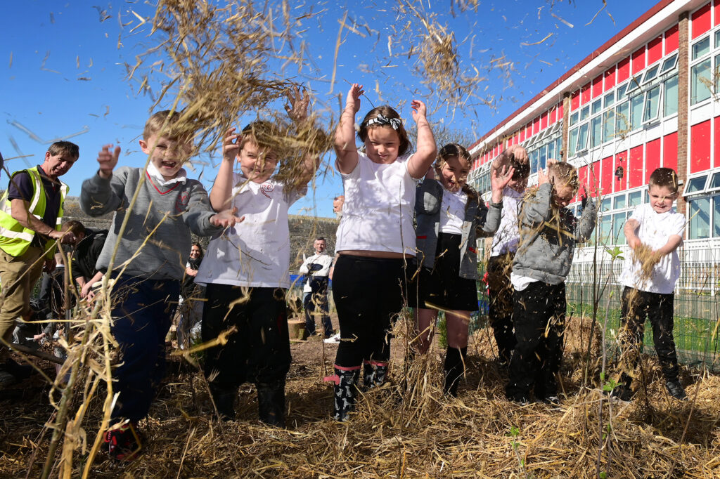 Youngsters at Mount Wise Primary School planting microforests with CIC Societree
