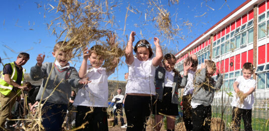 Youngsters at Mount Wise Primary School planting microforests with CIC Societree