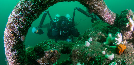 A diver examines a wreck and captures data subsequently used to better understand the biodiversity found on shipwrecks (Credit marcusrose.gue)