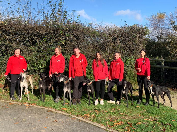 Greyhounds Group (1)