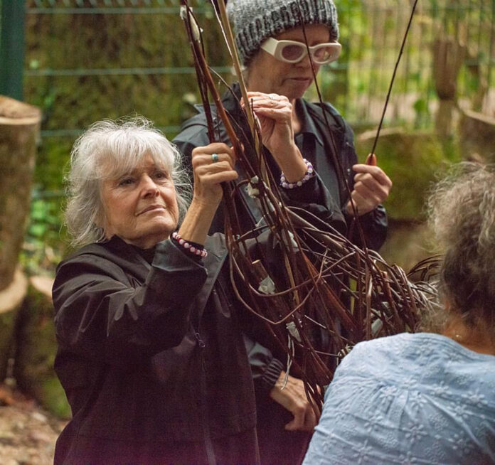 Being well in the woods 2