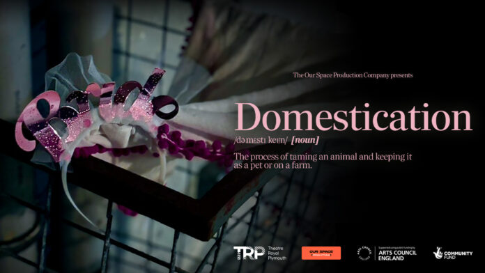 Domestication Artwork 1920x1080 (1)