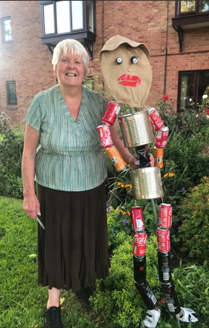 Plympton Litter Picker Val