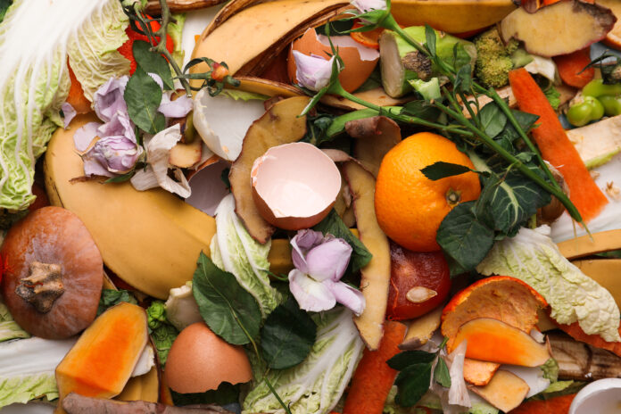 Pile of organic waste for composting as background, closeup