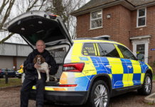 Plymouth Officer and Crime-Fighting Dog Reach Crufts