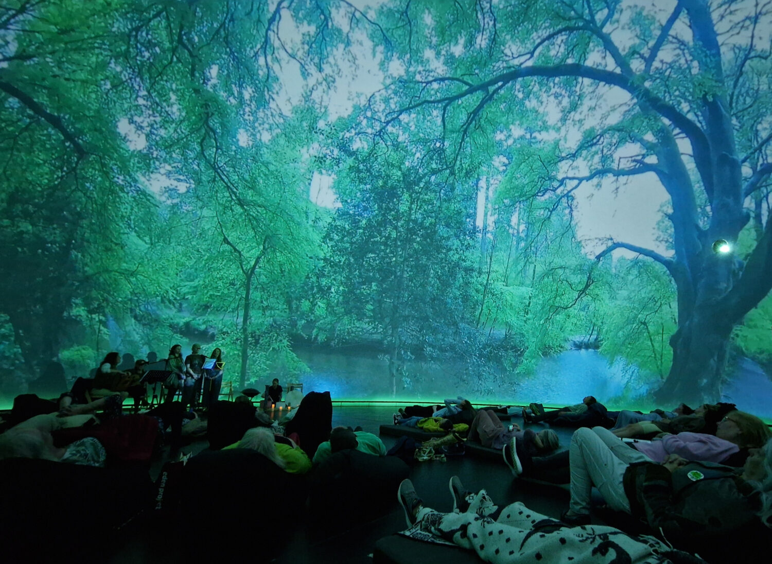 Ever tried forest bathing? Plymouth's tree festival returns this May