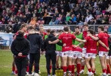 Plymouth Albion chase home play-off spot in final Brickfields clash